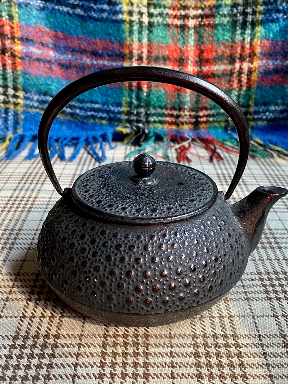 Japan Cast Iron Tea Kettle